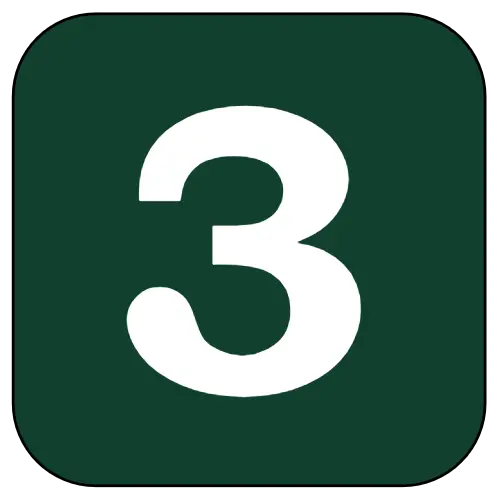 3