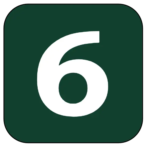 6